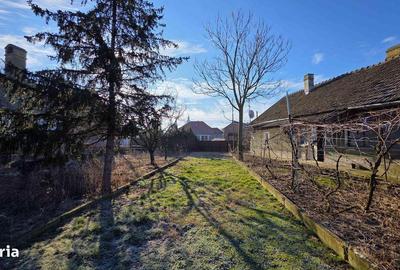 Casă cu 3 camere cu Teren 4041 Mp în Roșiori - 7