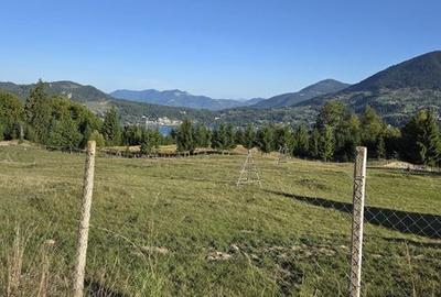 Teren de 10000 mp, în Central