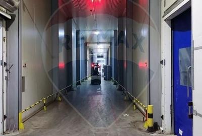 Spațiu industrial, de 4,600 mp, în Afumați - 3