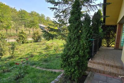 Casa caramida in Costesti - 3