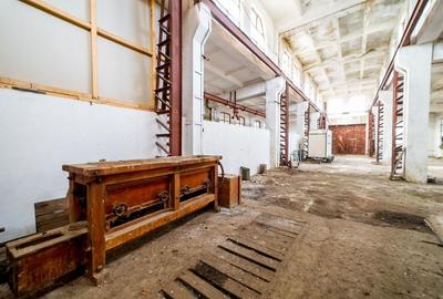 Hală spațioasă în Lipova oportunitate investiție - 6