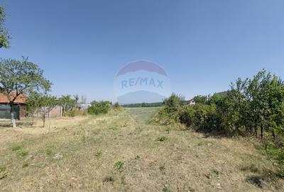 Teren Construcții intravilan de 2841 mp, în Apateu - 11