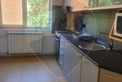Apartament PREMIUM  2 camere de inchiriat in Zona Lacului - 10