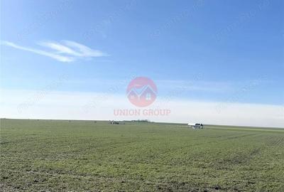 Teren de 700 mp, în Sud