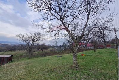 Teren intravilan la Strada Principala in Haulisca - 1