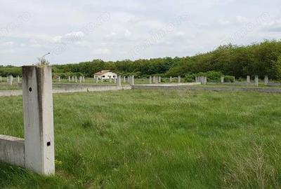 Teren de 543 mp, în Gepiu - 8