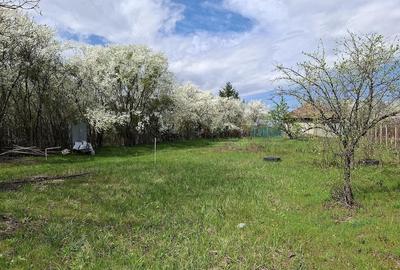 Teren de 651 mp, în Snagov - 8
