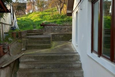 Casă cu 3 camere cu Teren 2300 Mp în Tudor Vladimirescu - 2