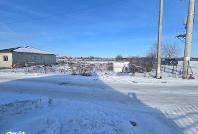 Teren de 800 mp, în Păulești - 6