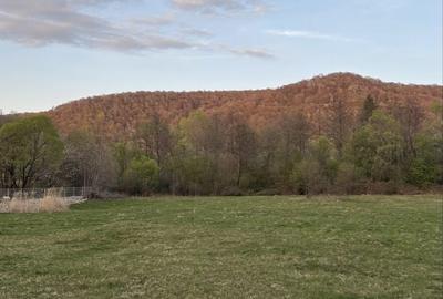 Teren de 5022 mp, în Măliniș - 3