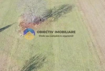 TEREN intravilan 4488 mp - PANGARA?I - 1