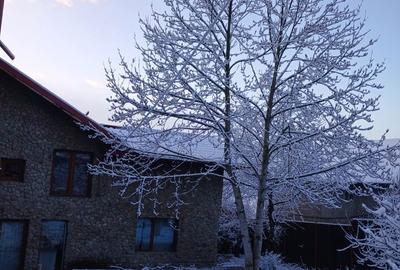 Casă cu 4 camere în Drajna - 3