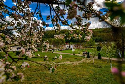 Proprietate specială, de 1,537,099 mp, în Herneacova - 2