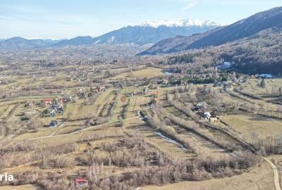 Spațiu comercial, în Predeluț