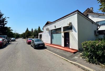 Vila P+1+M cu Garaj si Imobil Comercial Independent Cartier Rezidential Baneasa - 2