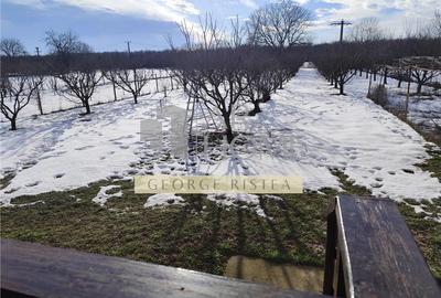 Casă individuală cu 6 camere cu Teren 2756 Mp în Exterior Sud - 8