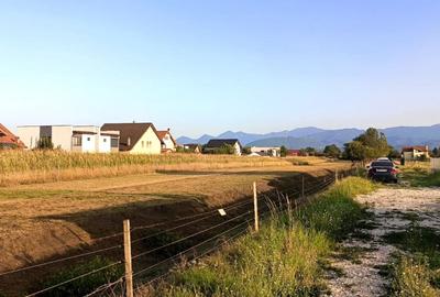 Teren Construcții intravilan de 1000 mp, în Stupini - 4