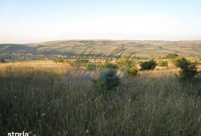 Teren de 5700 mp, în Chinteni - 2