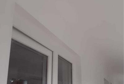 Casă cu 3 camere cu Teren 2200 Mp în Podgoria - 3