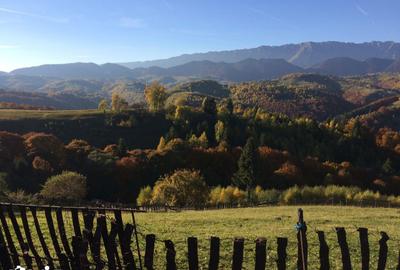 Teren de 10669 mp, în Moieciu - 4