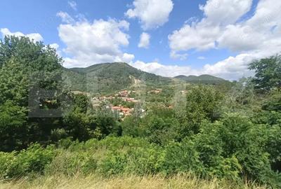 Cabana la rosu 150 mp cu teren de 3500 mp in Ampoita - 2