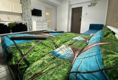 Garsonieră decomandată în Nord - 3