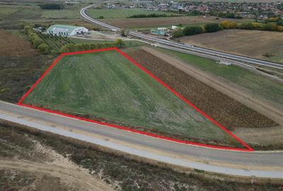 Teren pentru hala - Biharia - IMOBIHOR - 5