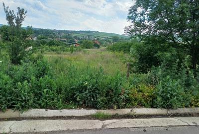 Teren de 1350 mp, în Tureni - 4