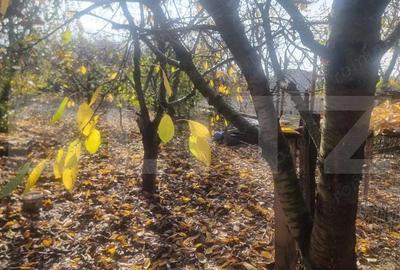 Oportunitate! Casa unifamiliala complet mobilata ?i utilata - 9