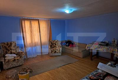 Casa cu o camera, 60 mp, in apropiere de Brad - 2