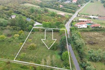 De vanzare Teren Intravilan Viile Satu Mare 2812MP/Dublu ... - 4