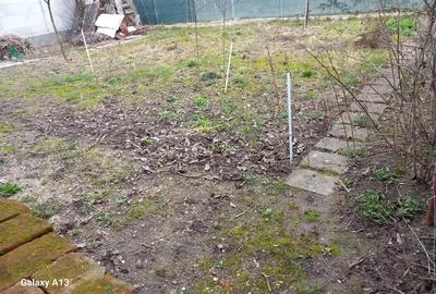 Casă cu 2 camere cu Teren 600 Mp în Bercu Roșu - 15