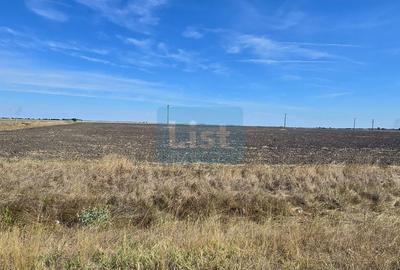 Teren agricol extravilan de 20000 mp, în Becicherecu Mic - 2