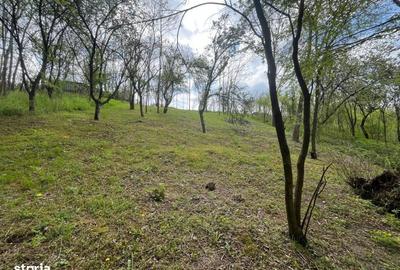 Spațiu comercial, în Malu Mare - 8