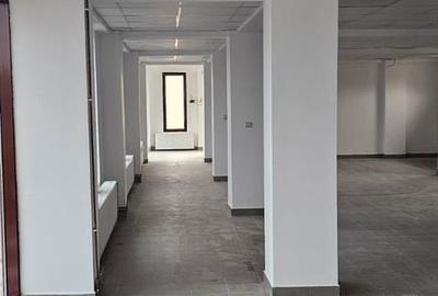 Spațiu comercial, de 670 mp, în Iosefin - 12