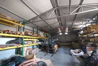 Spațiu comercial, de 500 mp, în Iancu Jianu - 1