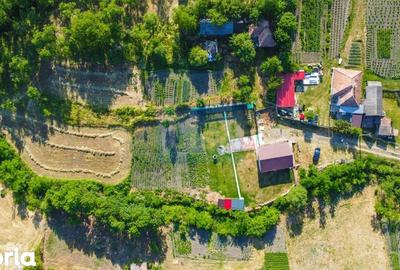 Casă cu 2 camere cu Teren 3100 Mp în Cornești - 4
