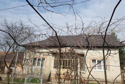 Casă cu 4 camere cu Teren 2040 Mp în Vișina - 9