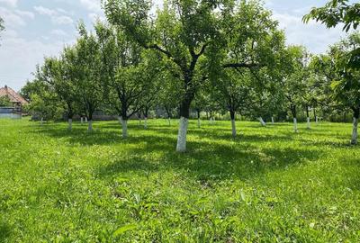 Teren de 2000 mp, în Aiton - 14