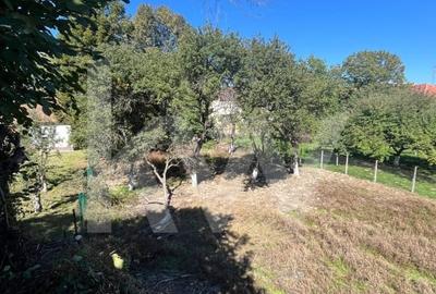Casa  autentica cu potential de investitie - Poiana Sibiului - 15