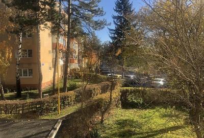 Garsoniera luminoasa la prima inchiriere,  LIDL Astra - 5