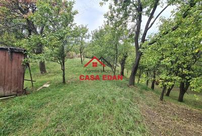 Casă cu Teren 1671 Mp în Șotrile - 5