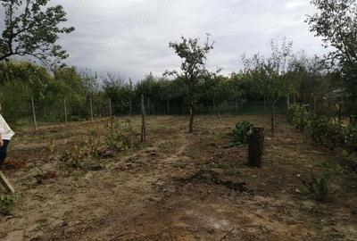 Casă cu 2 camere în Diosig - 6