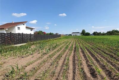 Teren de 2486 mp, în Agapia - 7