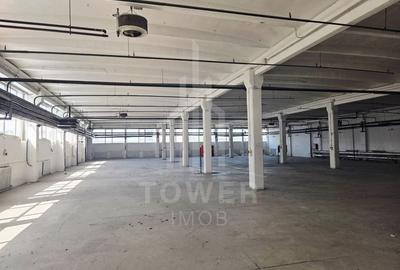 Hala generosa de închiriat . - 3