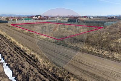 Teren Construcții intravilan de 1007 mp, în Hălchiu - 7