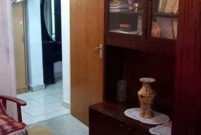 METROU Raul Doamnei 3 camere - 2