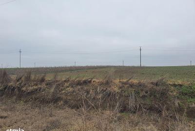 Teren de 140000 mp, în Albești - 2