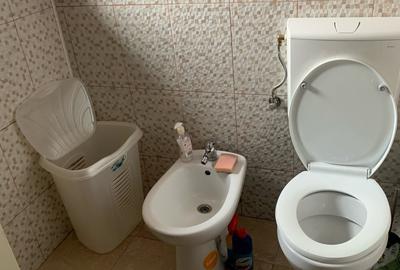 Casa renovata in Craciunelul de Jos Blaj - 9