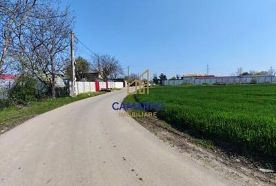 Teren Construcții intravilan de 13602 mp, în Dragomirești-Vale - 8